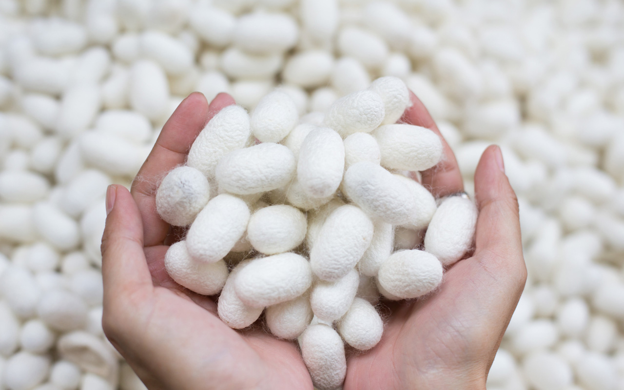 SiOHER熹歐禾進軍台灣八週年獻禮 極輕感蠶絲內衣上市 由內而外貼身呵護