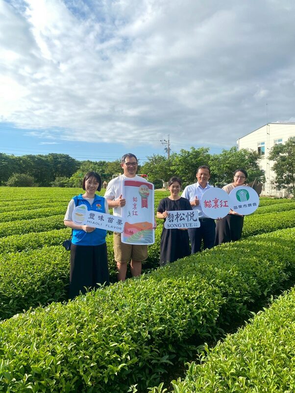 從苗栗山城到新加坡餐桌《豐味苗栗》貓裏紅登上五星級餐桌