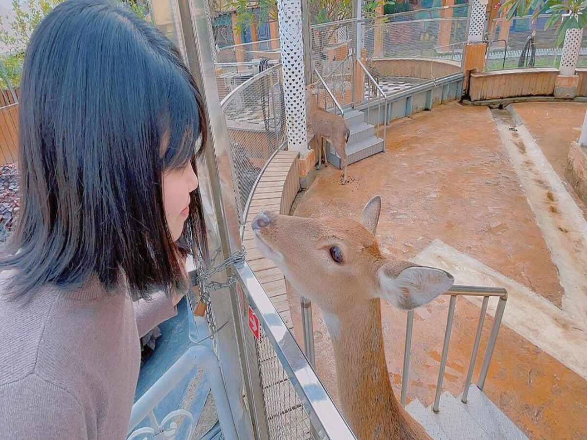 彰化親子農場｜帶著孩子出門放電 餵食小動物玩水玩沙 記錄孩子成長