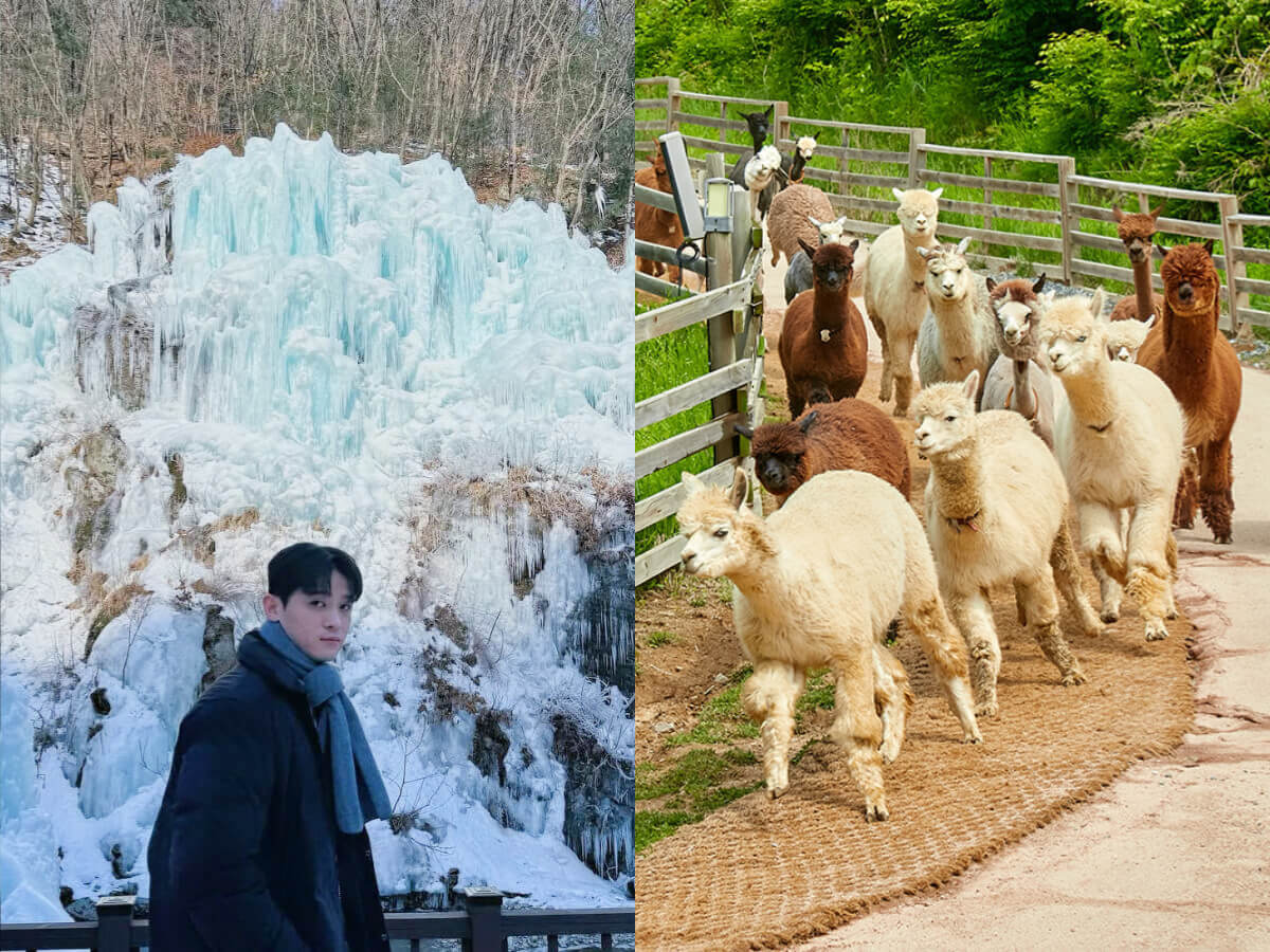 韓國一日遊行程推薦｜韓國自由行熱門景點 必看兩大表演一次收錄