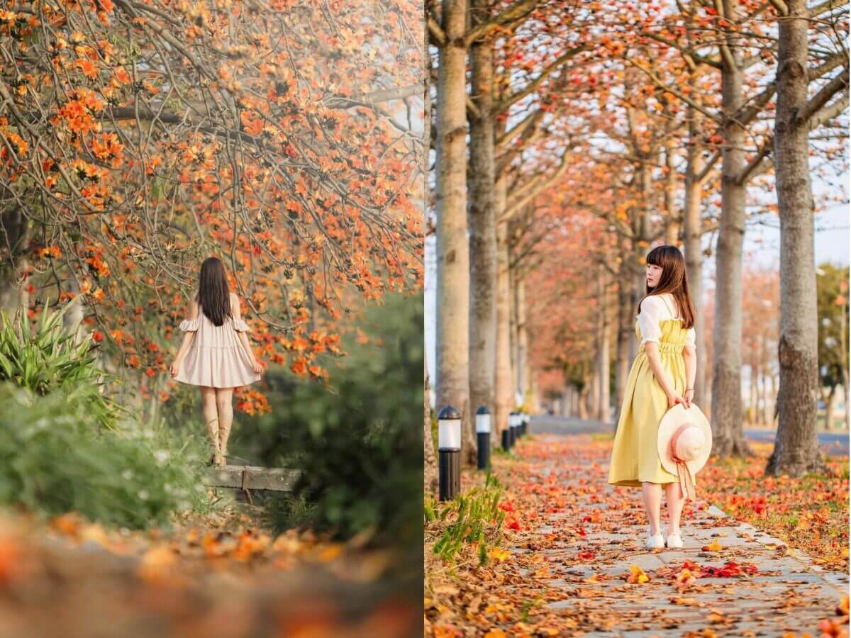 全台 6 大浪漫木棉花景點推薦｜春天情侶約會必去 林初埤木棉花道、東螺溪木棉花道