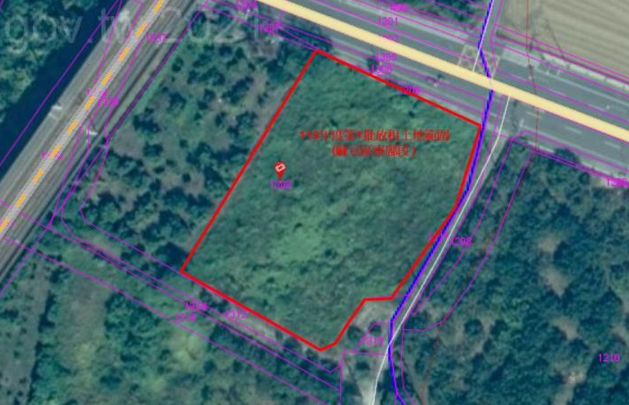 臺南市長黃偉哲宣布市有耕地放租 113年青農可申請承租