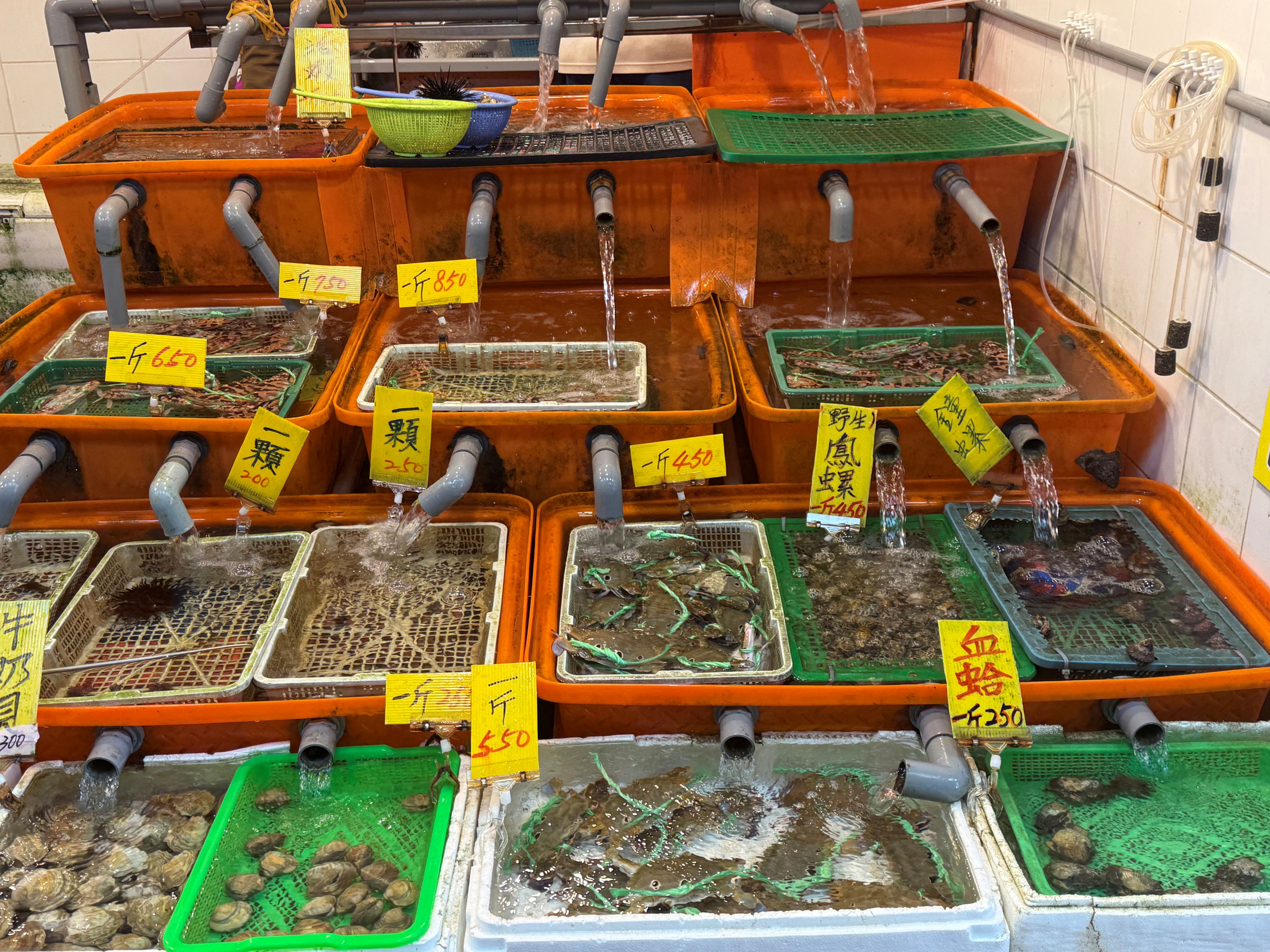 新北萬里蟹季進入尾聲 龜吼漁夫市集邀民眾把握最後品蟹機會 鮮甜花蟹、三點蟹一次滿足