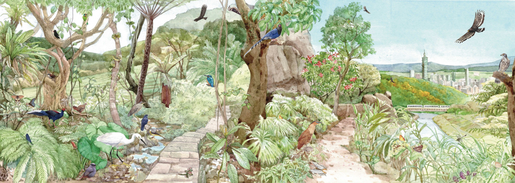 白天黑夜都精彩不只是一句話　臺北淺山生態摺頁細膩呈現城市與自然共生的秘密世界