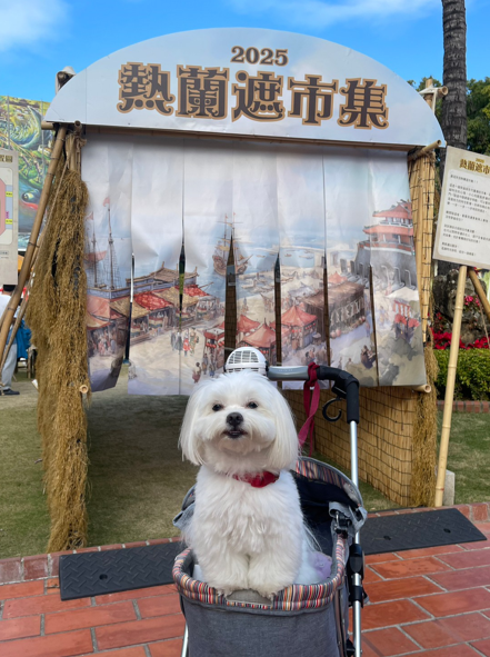 臺南文化景點也有寵物友善！攜毛寶貝入園參加抽獎，豪禮等你來拿！