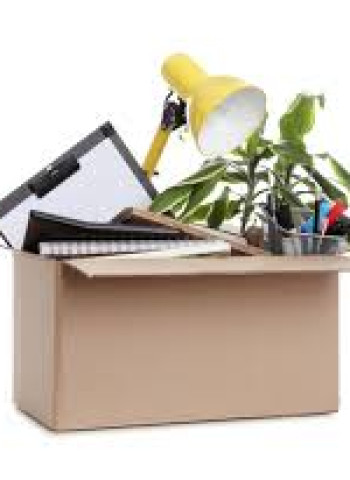 特斯拉老闆馬斯克主導US美國政府效率部DOGE展開大規模裁員 引發員工不安與爭議