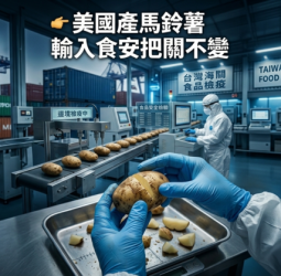 行政院強調美國產加工用馬鈴薯輸入食安標準不變 龍葵鹼超標將整批退運或銷燬
