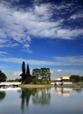 馬到成功迎新春！新化年貨大街、虎頭埤、奇美博物館串聯臺南春節樂購遊