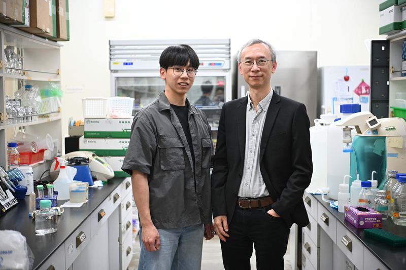 中正大學跨國研究取得關鍵新突破　陳永恩教授與博士生徐伯彥提出精準預測特定化療藥物心臟副作用風險的新機制